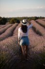 Back view of stylish young woman in hat walking near flowers in large lavender field in countryside. — Stock Photo