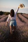 Rückansicht der stilvollen jungen Frau, die in der Nähe von Blumen geht und in einem großen Lavendelfeld in der Landschaft mit Hut wedelt. — Stockfoto