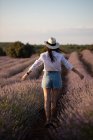 Vista posteriore della ragazza casual in cappello che cammina nei fiori di grande campo di lavanda in campagna . — Foto stock