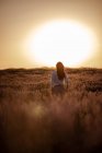 Jovem mulher de pé em flores em grande campo de lavanda no campo ao pôr do sol . — Fotografia de Stock