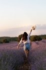 Rückansicht von stilvollen Mädchen zu Fuß in Blumen in großen Lavendelfeld in der Landschaft. — Stockfoto