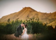 Mariée et marié souriants embrassant et embrassant dans le parc — Photo de stock
