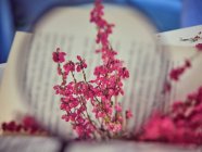 Livre avec des fleurs vues à travers une loupe — Photo de stock