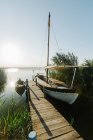 Wooden rural wharf with tied vessels by green bushes at peaceful lagoon on summer day in Valencia — Stock Photo