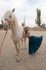Vista lateral de mujer elegante en falda larga colorida con la pierna para arriba abrazando el caballo blanco que está parado todavía en recinto arenoso en el hipódromo - foto de stock