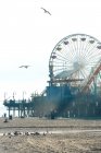 Roda de observação à distância no moderno parque de diversões na praia de areia no dia ensolarado em Los Angeles — Fotografia de Stock