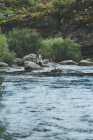 Hombre equipado harling pescado mientras está de pie dentro del agua en el arroyo del río en el torrente de montaña por acantilado y bosque - foto de stock