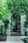 Горшки с маленькими деревьями, расположенными возле арочного входа зеленого дома на улице Марракеш, Морчо — стоковое фото
