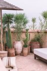 Горшки с тропическими растениями и удобный диван расположен на террасе против пасмурного неба в Марракеше, Марокко — стоковое фото