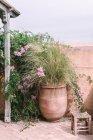 Карти з тропічними рослинами та зручне диван, розташовані на терасах у Марракеші (Марокко). — стокове фото