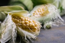 Close-up of fresh harvested corn in green leaves on table — Stock Photo