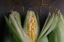 Vista superior de mazorcas de maíz frescas maduras en hojas verdes sobre mesa negra - foto de stock