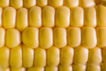 Свежие жёлтые кукурузные ядра рядами, крупным планом — стоковое фото