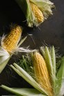 Desde arriba de la disposición de mazorcas de maíz frescas cosechadas sobre fondo negro - foto de stock
