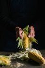Руки невпізнаваної людини пілінг свіжої кукурудзи — стокове фото