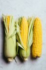 Аранжування свіжих збираних кукурудзяних клітин на сірому мармуровому фоні — стокове фото