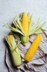 Arrangement of fresh harvested corn cobs on rustic cloth grey marble background — Stock Photo