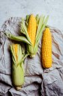 Arrangement of fresh harvested corn cobs on rustic cloth grey marble background — Stock Photo