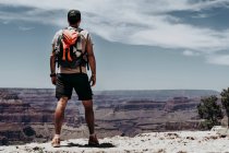 Tourist gazing while standing on edge of picturesque canyon — Stock Photo