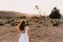 Visão traseira da mulher de vestido branco em pé no campo seco à luz solar — Fotografia de Stock
