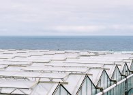 Alto angolo di vista di tetti di vetro di serre — Foto stock