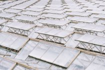 Vista de ángulo alto de techos de vidrio de invernaderos - foto de stock