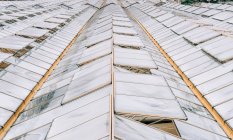 Vista de ángulo alto de techos de vidrio de invernaderos - foto de stock