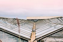 High angle view of Glass roofs of greenhouses — Stock Photo