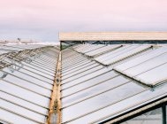 High angle view of Glass roofs of greenhouses — Stock Photo