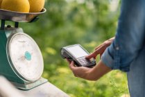Abgeschnittenes Bild einer Frau, die Melonen wiegt und Rechnungen abrechnet, während sie Terminal für kontaktlose Bezahlung nutzt — Stockfoto