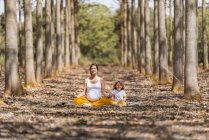 Pregnant mother with daughter practicing yoga on ground in glade among trees in park during sunny daytime — Stock Photo
