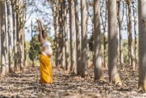 Concentrada adulta embarazada estirando brazos mientras practica yoga en el parque - foto de stock