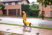 Side view of woman in yellow jacket and rubber boots walking with English Pointer dog in yellow cloak on leash in rain on street — Stock Photo