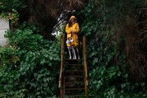 Довговолоса жінка в жовтій куртці та англійському покажчику на дерев'яних сходах у зеленому паркані рослин у вологу погоду. — стокове фото