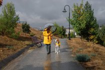 Mulher ativa em casaco amarelo andando com cão de ponteiro inglês na coleira em tempo chuvoso sob guarda-chuva no parque — Fotografia de Stock