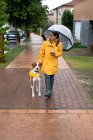 Woman in yellow jacket and rubber boots walking with English Pointer dog in yellow cloak on leash in rainy weather in street — Stock Photo