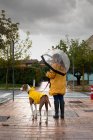 Vista posteriore della donna in giacca gialla che cammina con il cane puntatore inglese in mantello giallo al guinzaglio sotto la pioggia in strada — Foto stock