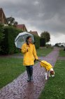 Donna in giacca gialla che cammina con cane puntatore inglese in mantello giallo al guinzaglio sotto la pioggia in strada — Foto stock