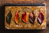 Dall'alto libro d'epoca invecchiato con brillante rosso arancio giallo autunno foglie su tavolo di legno — Foto stock