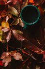 De cima copo verde cercado por outono folhas coloridas com bebida na mesa de madeira — Fotografia de Stock