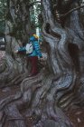 Вид ззаду дівчини з рюкзаком в куртці і в'язаною шапочкою, що йде між деревами з переплетеними коренями — стокове фото