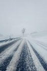 Сніг покритий порожньою сільською дорогою зі слідами автомобілів, що ведуть геть і лісом вздовж проїжджої частини в похмуру похмуру зимову погоду — стокове фото