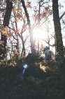 De baixo vista lateral de caminhadas femininas irreconhecíveis na floresta de outono entre árvores — Fotografia de Stock