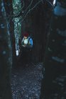 Maschio zaino in spalla in cappuccio rosso in piedi accanto a massicci pini verdi sul pendio della montagna utilizzando il telefono cellulare — Foto stock