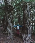 Visão traseira do mochileiro irreconhecível em tampa amarela em pé ao lado de troncos maciços de árvores verdes na encosta da montanha — Fotografia de Stock
