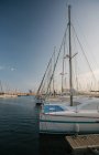 Iates requintados ancorados em água calma em dia brilhante em Port Valencia, Espanha — Fotografia de Stock