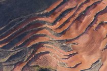 Vue aérienne du paysage des terrasses pendant la saison sèche à Islallana, La rioja, Espagne — Photo de stock