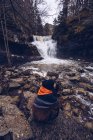 Dall'alto donna in giacca calda seduta da torrente furioso a foresta sempreverde durante giorno freddo di autunno — Foto stock