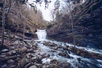 Fast torrent with foam running at rocky slope by bare trees on gloomy daytime — Stock Photo