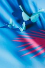 Тонкі метелики з паперу з пальмовим деревом тінь, прикріплена до синьої шовкової тканини — стокове фото